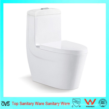 Ovs Foshan Sanitary Ware Ceramic Water Closet com auto-clean Nano Glaze